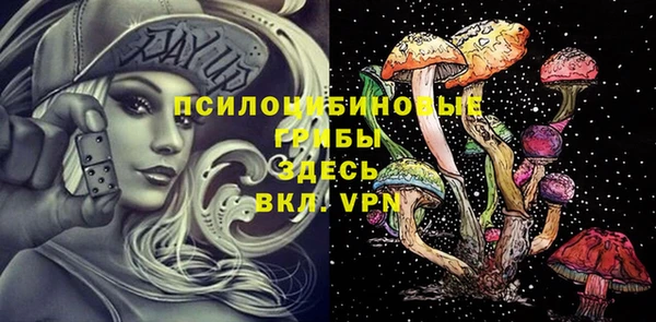 меф Арсеньев