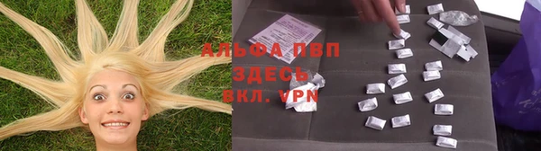 меф Арсеньев
