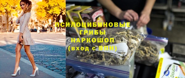 первитин Гусев