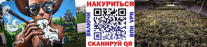 Каннабис план  Злынка 